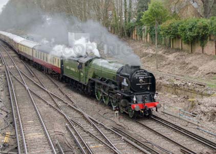 Purchase photo of 60163 TORNADO at Virginia Water
